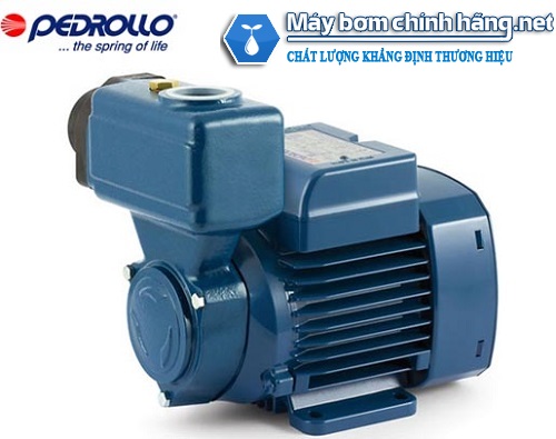 Máy bơm nước chân không Pedrollo PKSm 60